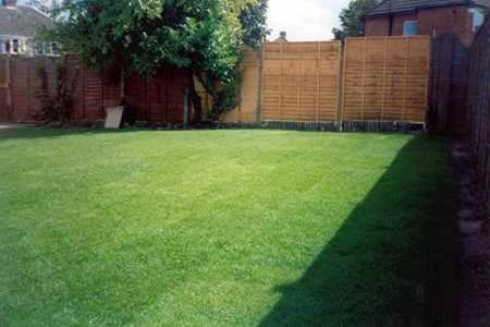turfing-8